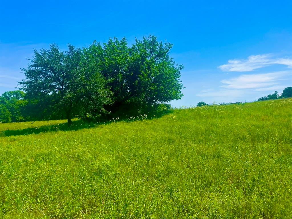 Lot 102 East Arlo Road Harker Heights, TX 76548 - Photo 1 of 9 a view of an outdoor space and yard