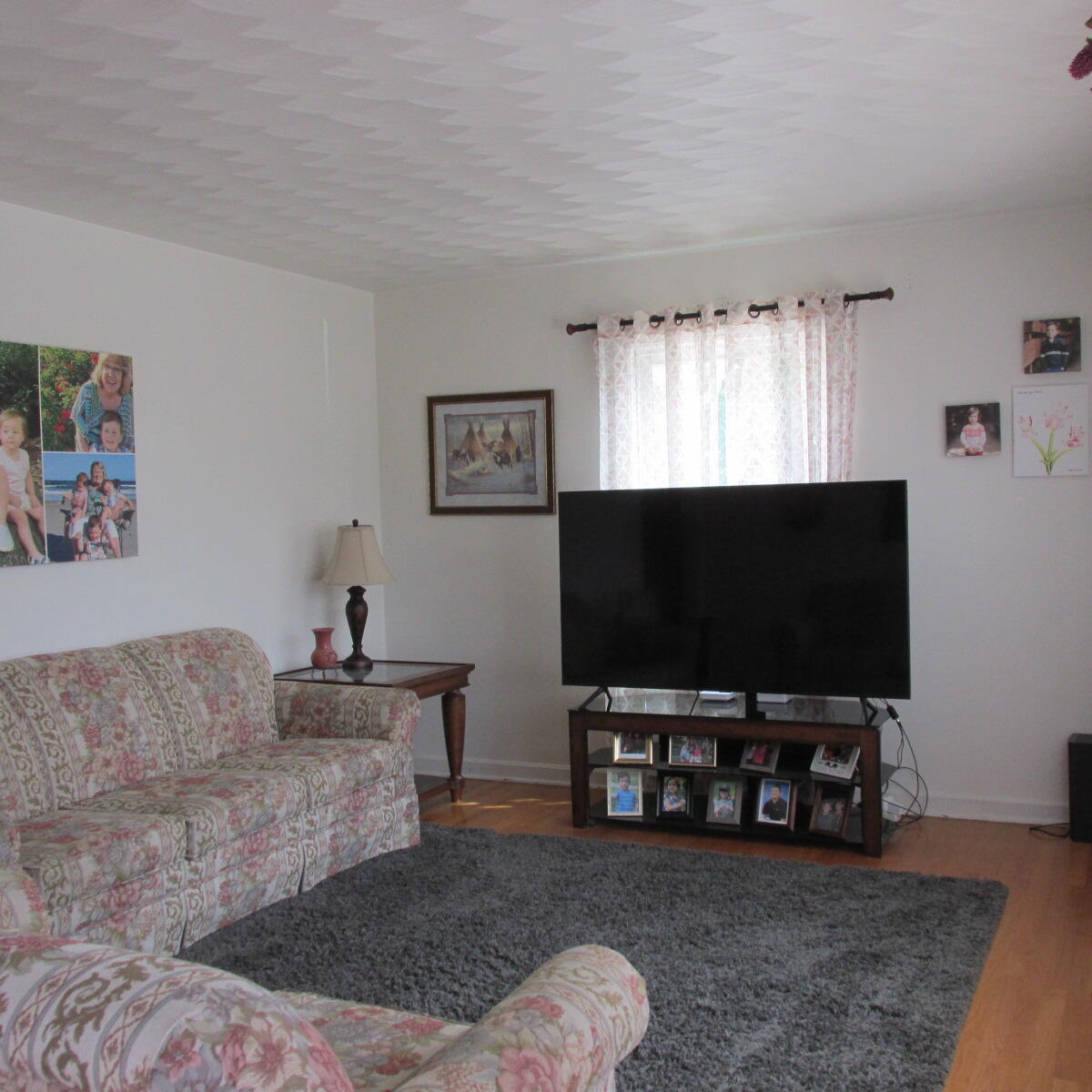 6620 Sherry Road Roanoke, VA 24019 - Photo 3 of 23 Step into the living room