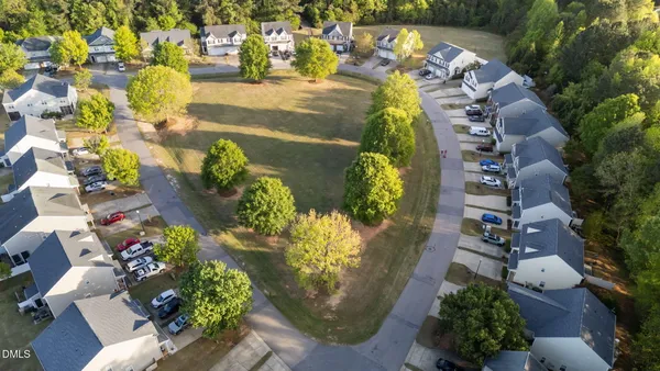 a view of a vase of flowers