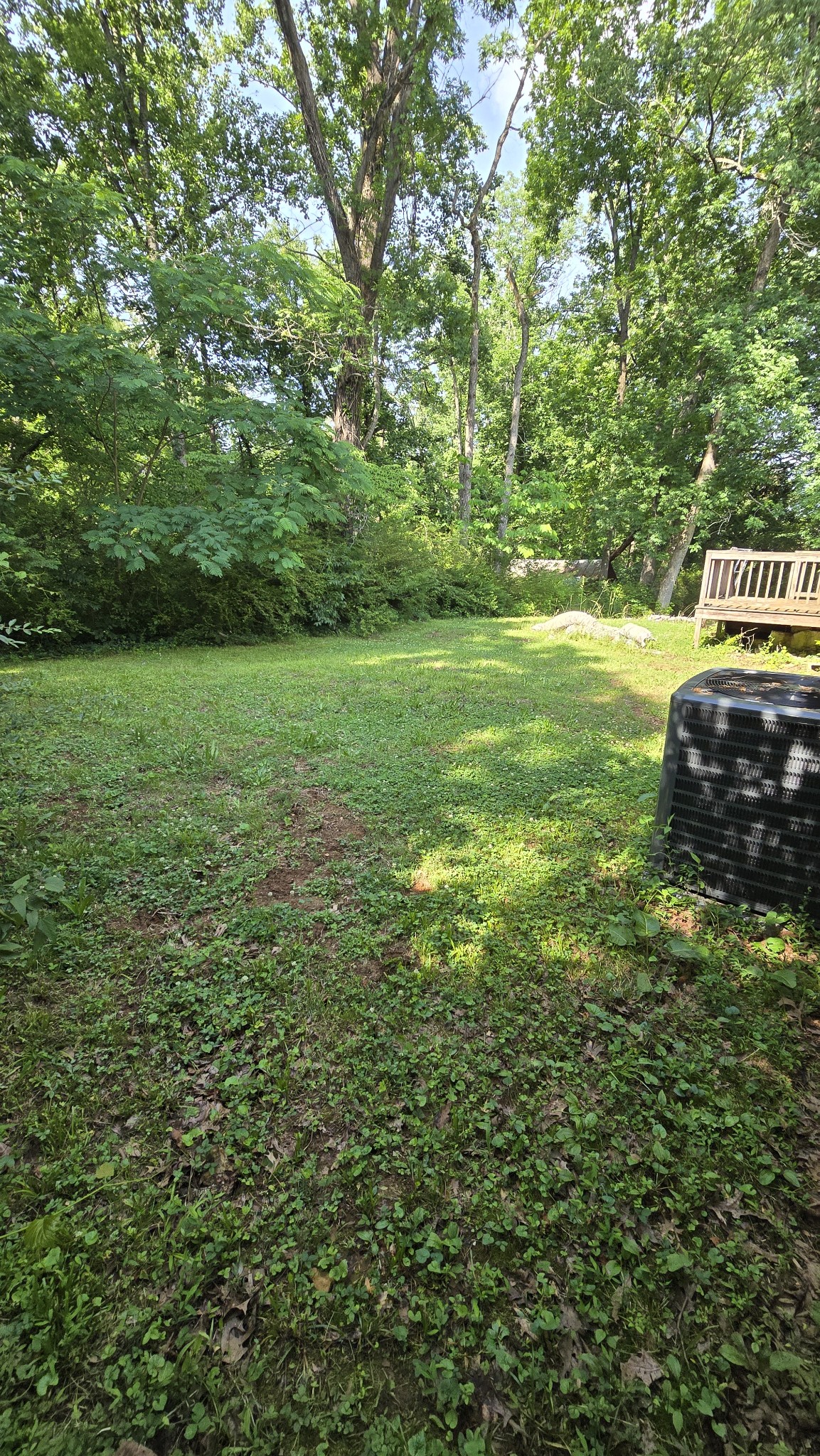 110 Cherry Street Centerville, TN 37033 - Photo 3 of 6