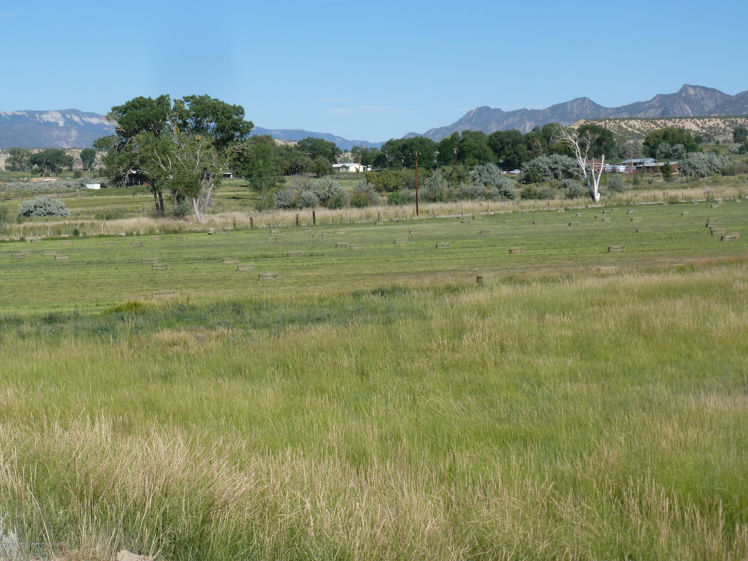 233 County Road 233 Rifle, CO 81650 - Photo 2 of 4 a view of a field with an trees