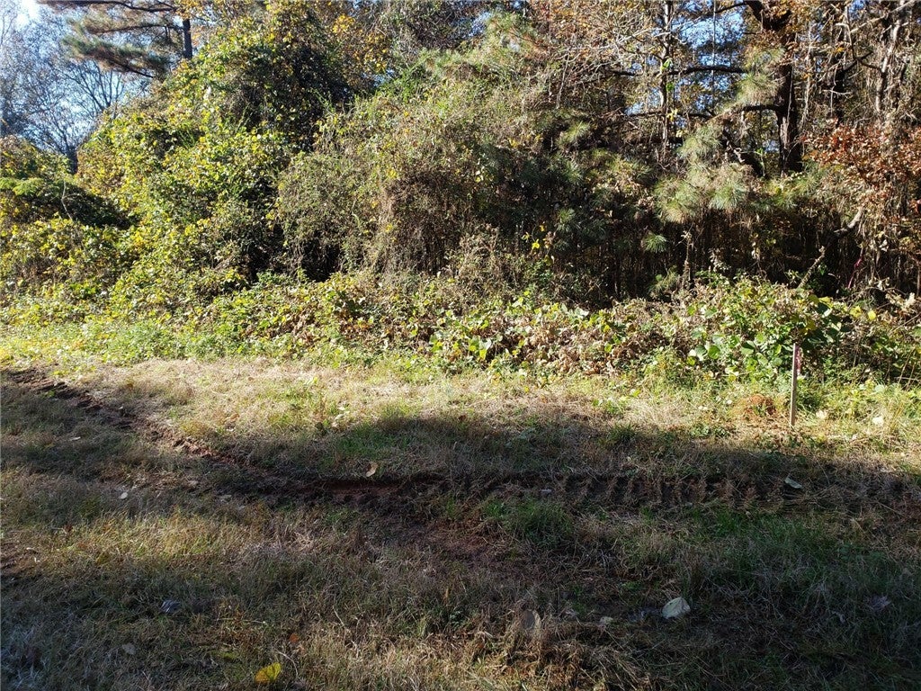 Lot#4 Judge Brown Road Valley, AL 36854 - Photo 3 of 4 Gallery Image 3