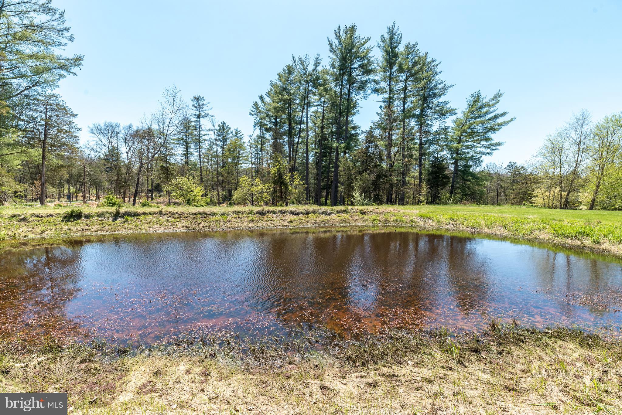 23 Lily Valley Road Erwinna, PA 18920 - Photo 61 of 103