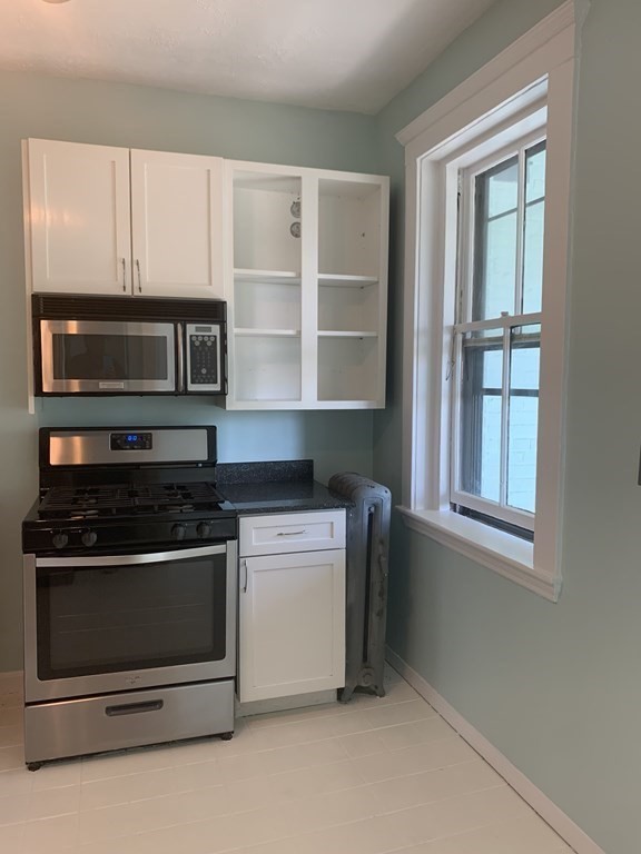 12 Bellvista Road, Unit 1 Boston, MA 02135 - Photo 17 of 23 Gallery Image 17