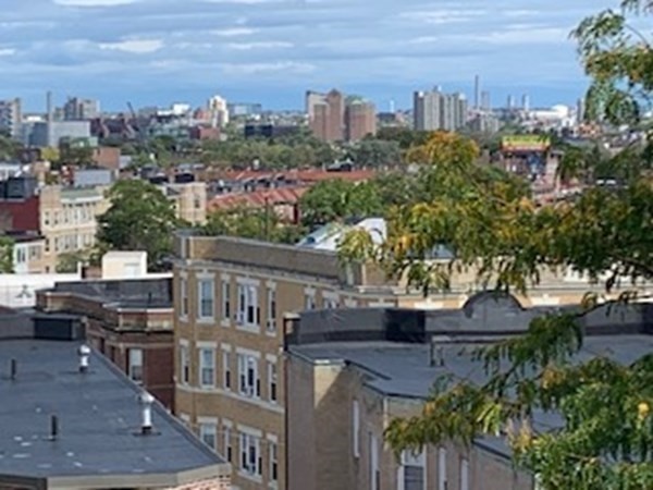 12 Bellvista Road, Unit 1 Boston, MA 02135 - Photo 21 of 23 Gallery Image 21