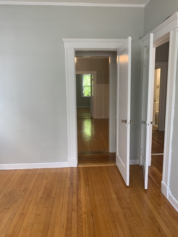 12 Bellvista Road, Unit 1 Boston, MA 02135 - Photo 9 of 23 Gallery Image 9