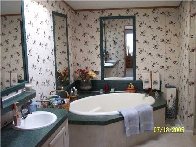 5097 Keyser Mill Road Baker, FL 32531 - Photo 3 of 10 a bathroom with sink a mirror a vanity and a shower