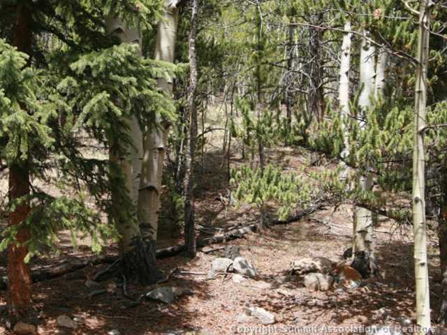 346 Pcr 665 Road Fairplay, CO 80440 - Photo 21 of 25 Land.