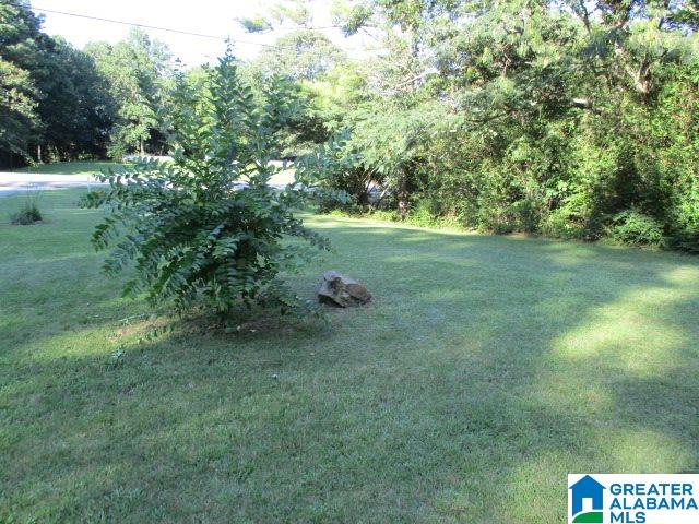 48659 Highway 231 Oneonta, AL 35121 - Photo 38 of 38