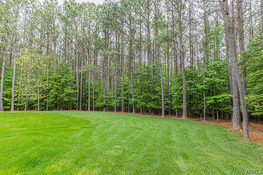 10480 Alpine Road Providence Forge, VA 23140 - Photo 36 of 42 Gallery Image 36