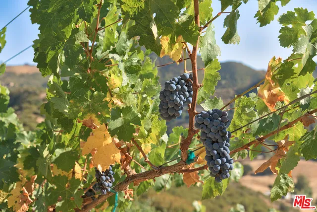 $12,995,000 | 340 Kanan Dume Road, Malibu, CA 90265