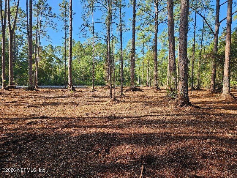 211 Georgetown Denver Road Georgetown, FL 32139 - Photo 5 of 12 image000001 (10)