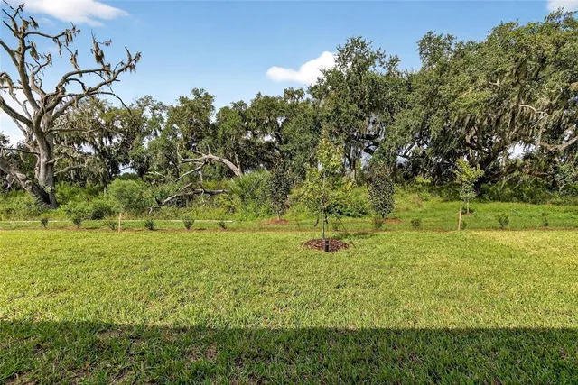 a view of a backyard of a house