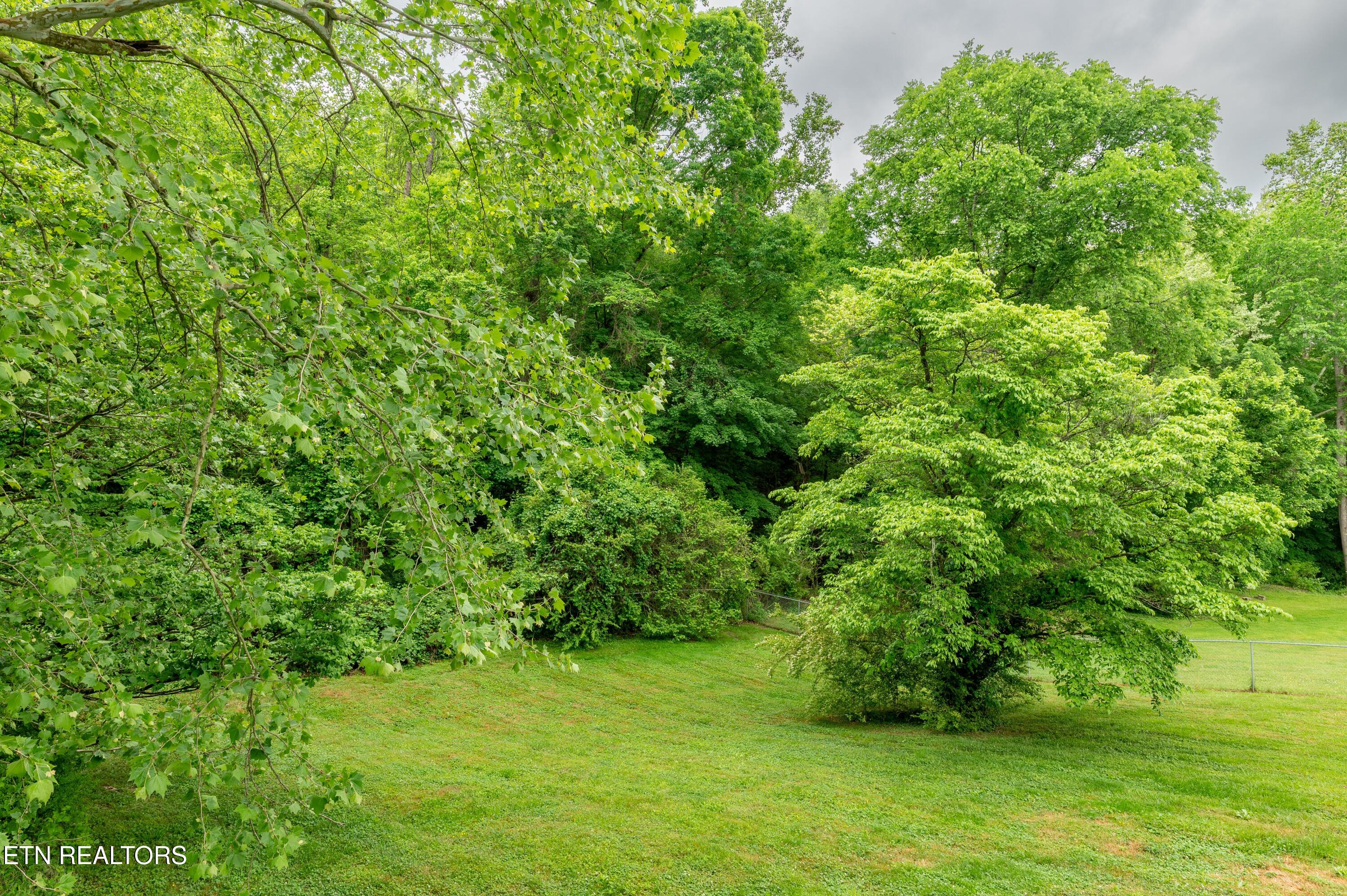 186 Blacks Ferry Road Knoxville, TN 37931 - Photo 28 of 30 186_Blacksferry-29