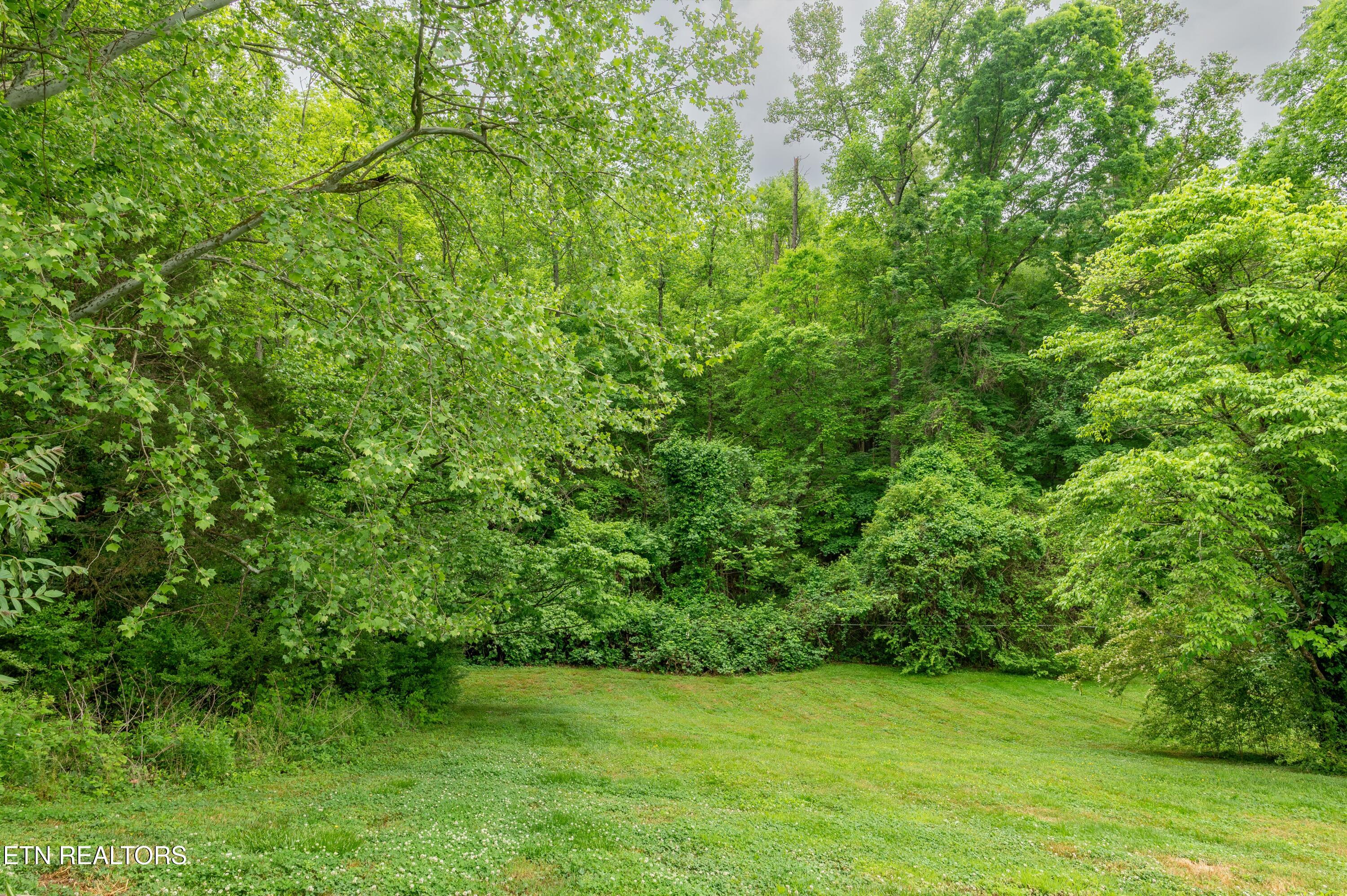 186 Blacks Ferry Road Knoxville, TN 37931 - Photo 29 of 30 186_Blacksferry-30