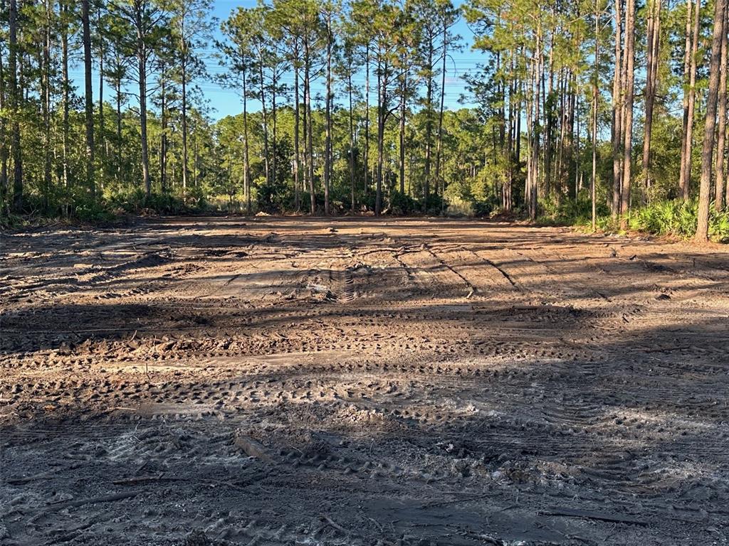 1090 Homestead Cove Geneva, FL 32732 - Photo 1 of 1
