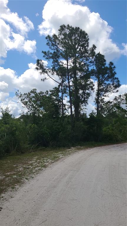 2575 North Bear Run Frostproof, FL 33843 - Photo 8 of 27 a view of outdoor space and yard