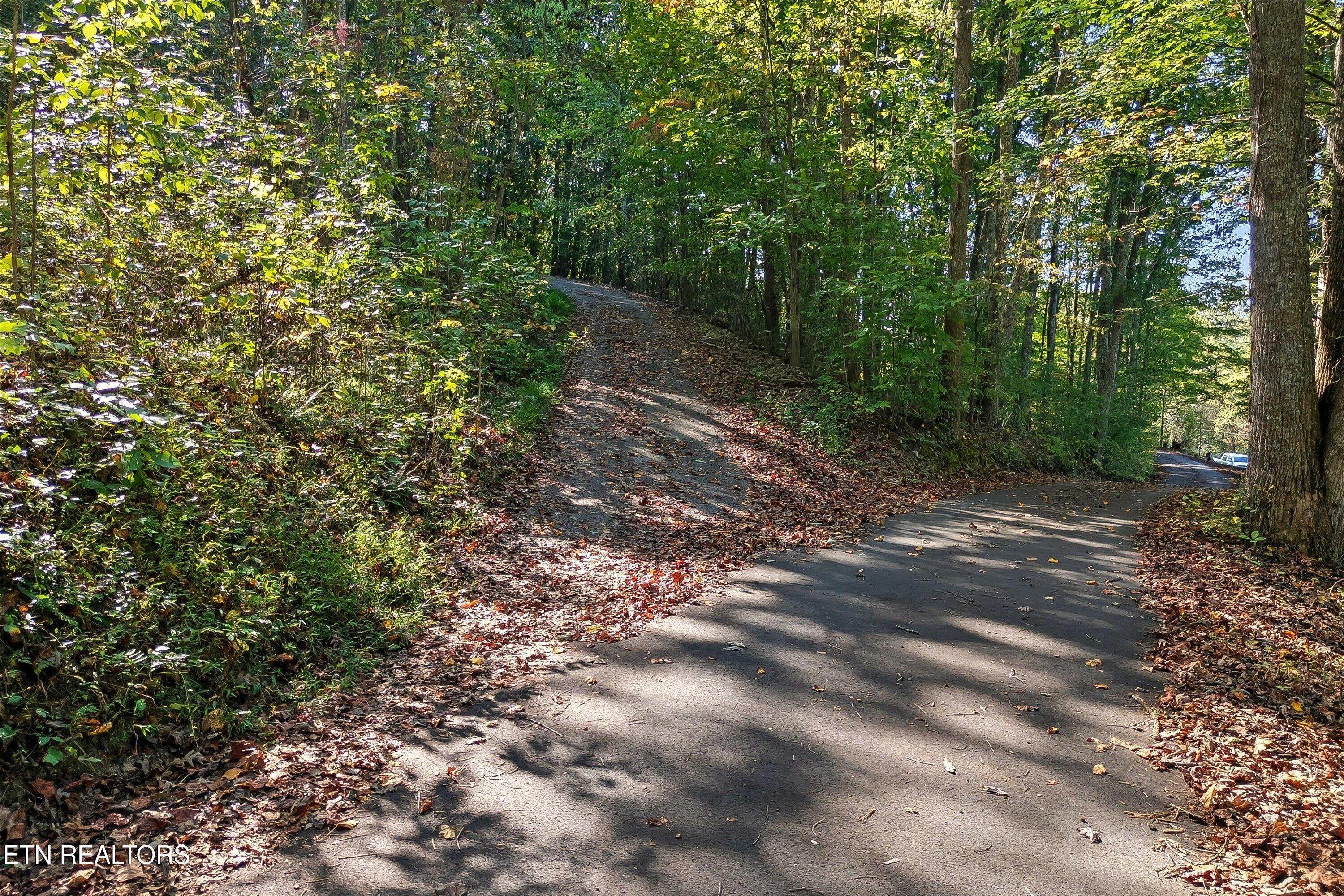 7112 Warren Lane Corryton, TN 37721 - Photo 60 of 60 66-7112 Warren Ln-65