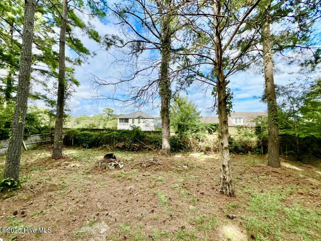 113 Old Farm Road Hampstead, NC 28443 - Photo 20 of 32 Back Yard