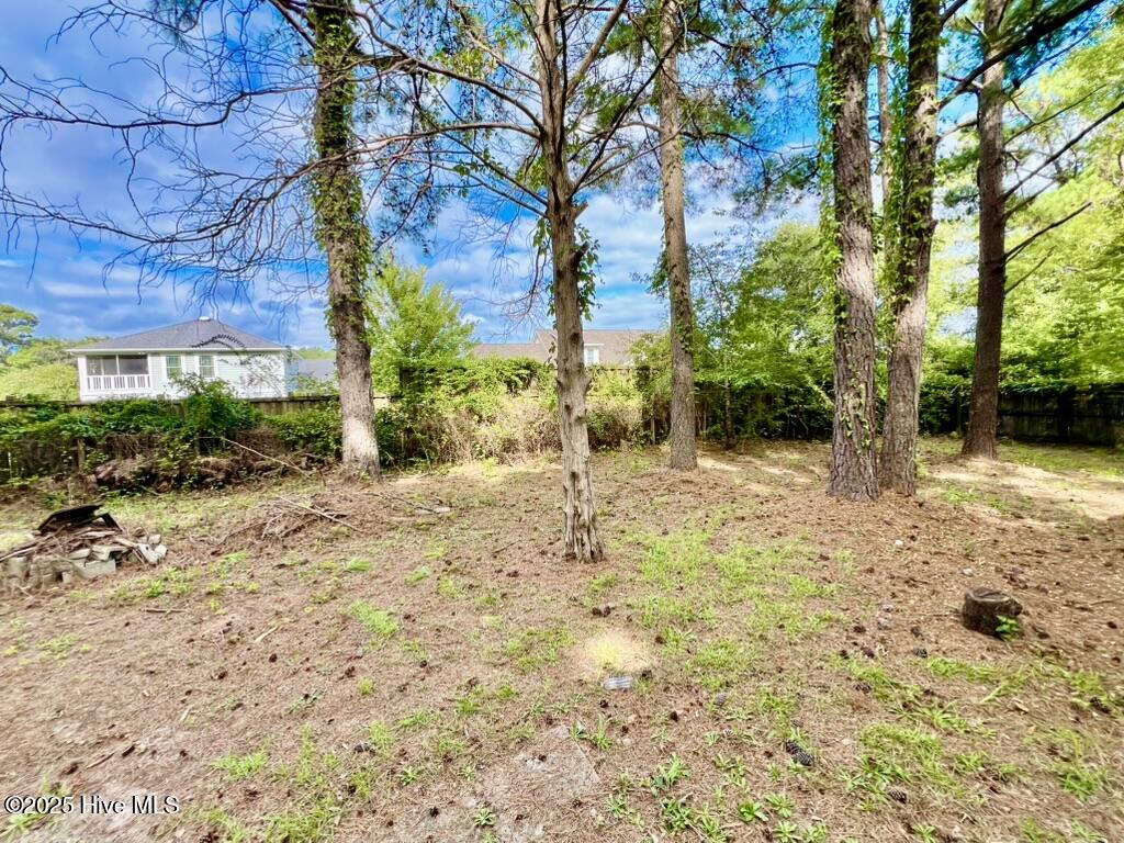 113 Old Farm Road Hampstead, NC 28443 - Photo 21 of 32 Back Yard