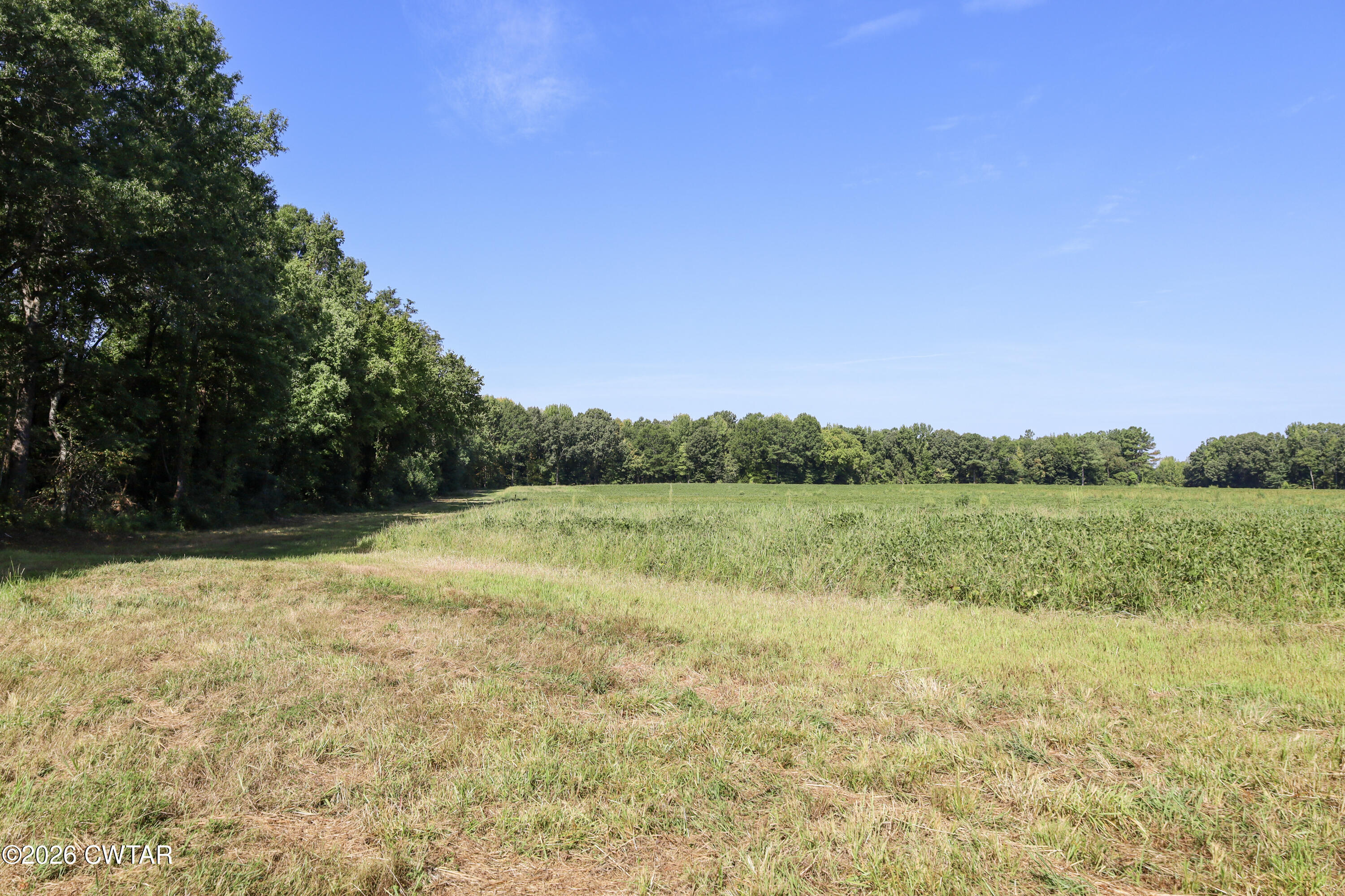 0 Betty Manley Road Jackson, TN 38301 - Photo 36 of 46 29-IMG_4933