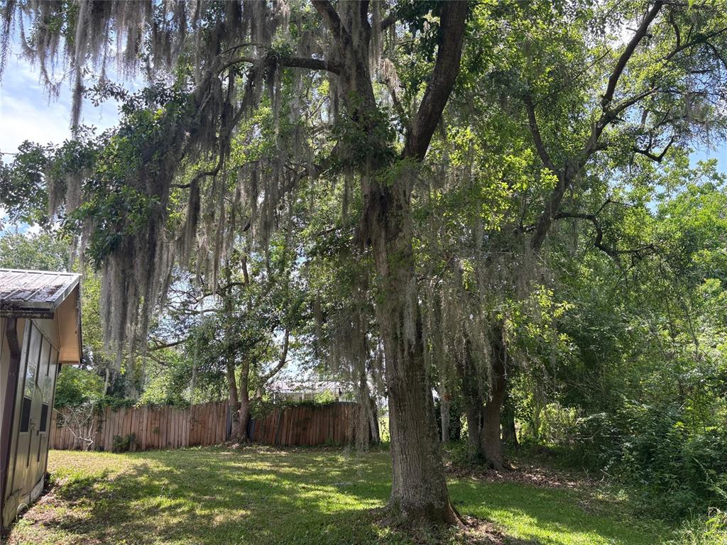 333 Riviera Drive Crescent City, FL 32112 - Photo 22 of 22