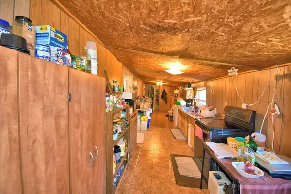 a view of a garden with a tree