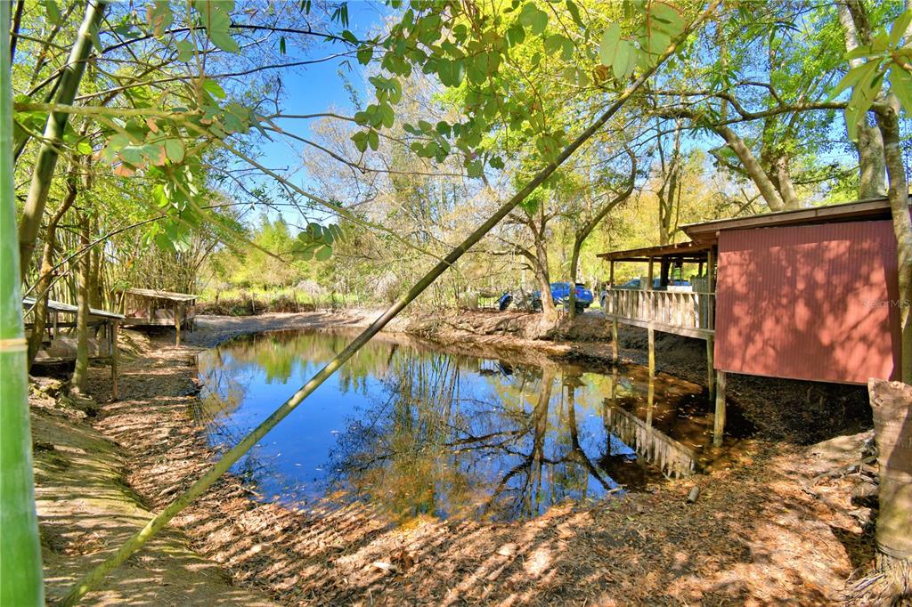 2039 Ranchland Drive Lakeland, FL 33809 - Photo 40 of 93 a view of outdoor space with a tree