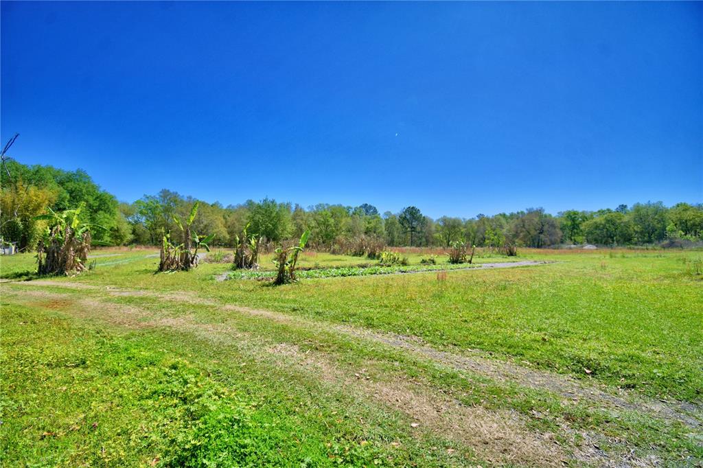 2039 Ranchland Drive Lakeland, FL 33809 - Photo 42 of 93