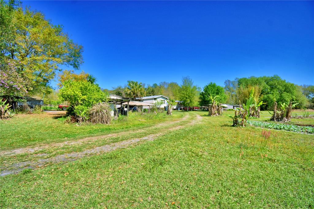 2039 Ranchland Drive Lakeland, FL 33809 - Photo 56 of 93 a view of a grassy field with trees