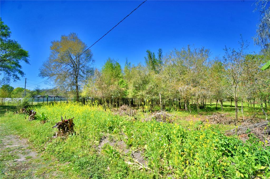 2039 Ranchland Drive Lakeland, FL 33809 - Photo 60 of 93