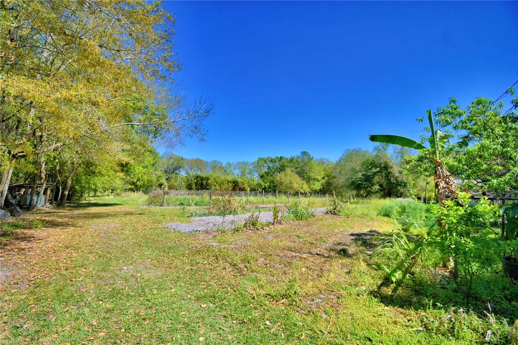 2039 Ranchland Drive Lakeland, FL 33809 - Photo 63 of 93 a view of an outdoor space and a yard