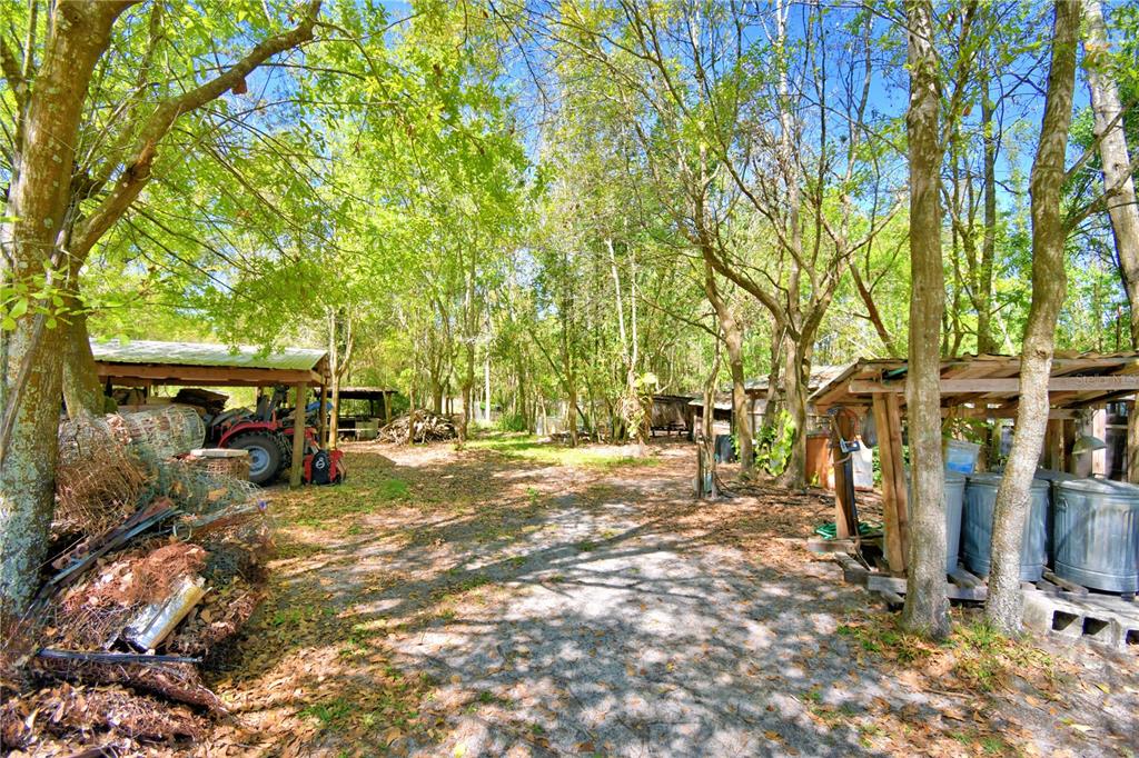 2039 Ranchland Drive Lakeland, FL 33809 - Photo 65 of 93 a view of a outdoor space with trees