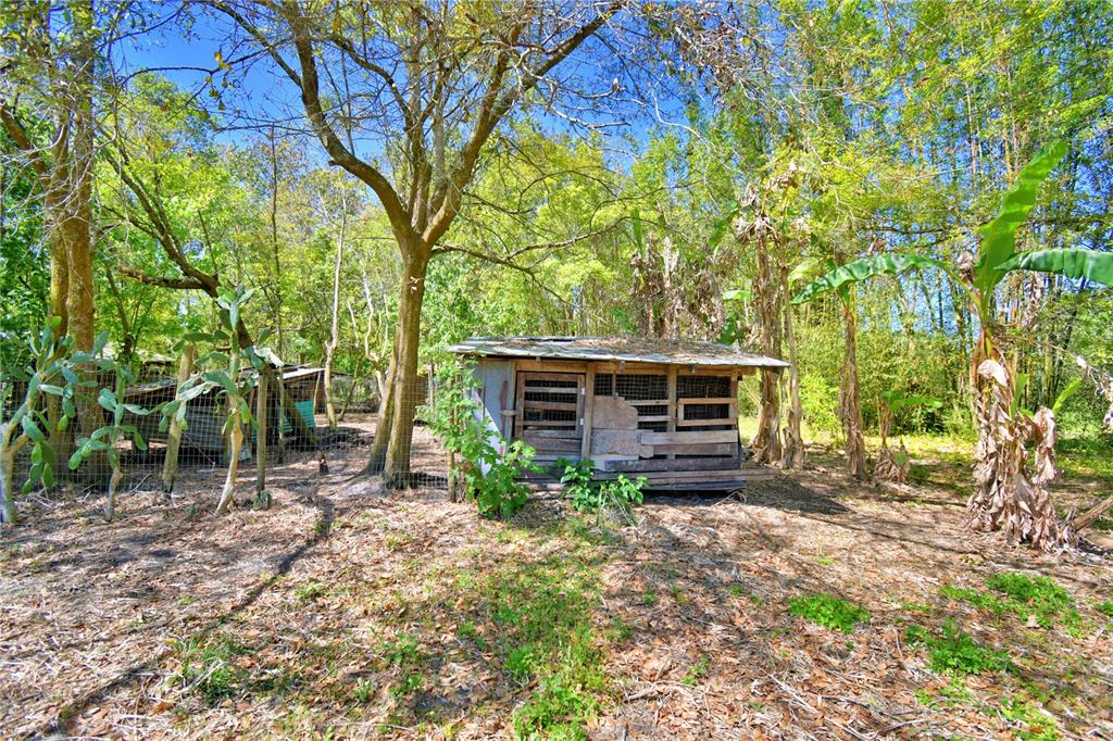 2039 Ranchland Drive Lakeland, FL 33809 - Photo 69 of 93 a view of house backyard and trees