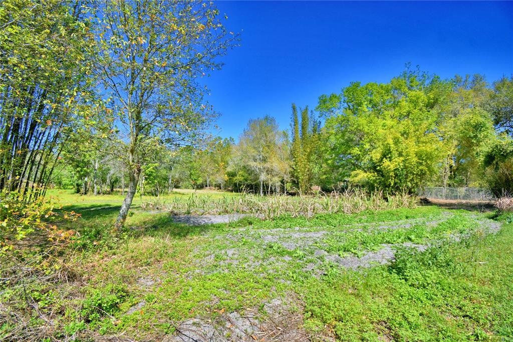 2039 Ranchland Drive Lakeland, FL 33809 - Photo 70 of 93 a view of a garden with a tree