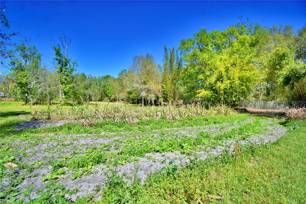 2039 Ranchland Drive Lakeland, FL 33809 - Photo 71 of 93