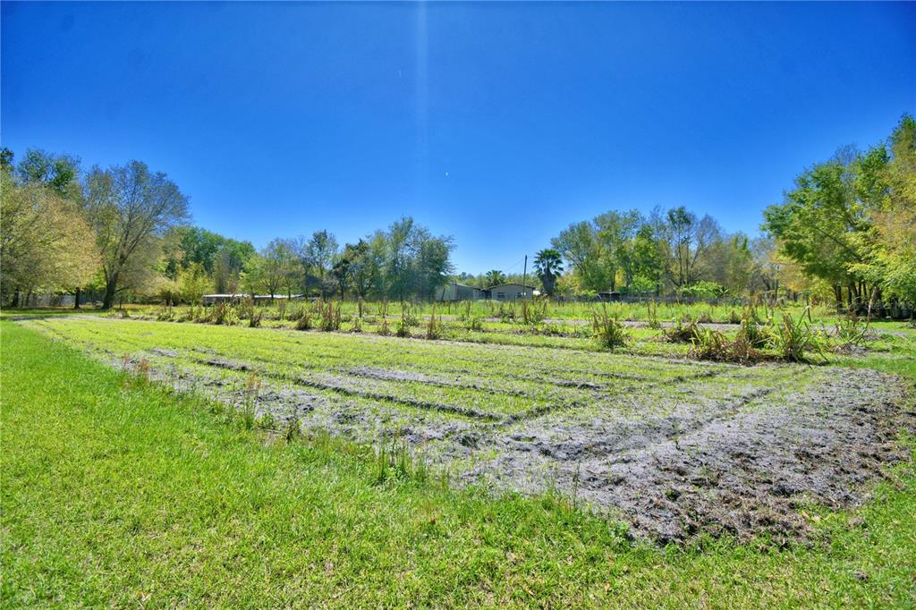 2039 Ranchland Drive Lakeland, FL 33809 - Photo 72 of 93 a view of a grassy field with trees