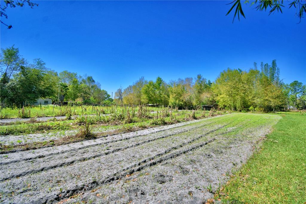 2039 Ranchland Drive Lakeland, FL 33809 - Photo 73 of 93 a view of a yard with a house