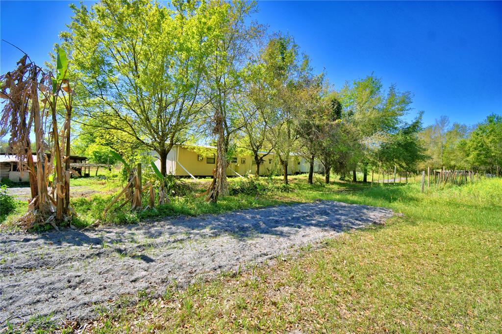2039 Ranchland Drive Lakeland, FL 33809 - Photo 77 of 93 a view of a yard with plants and trees