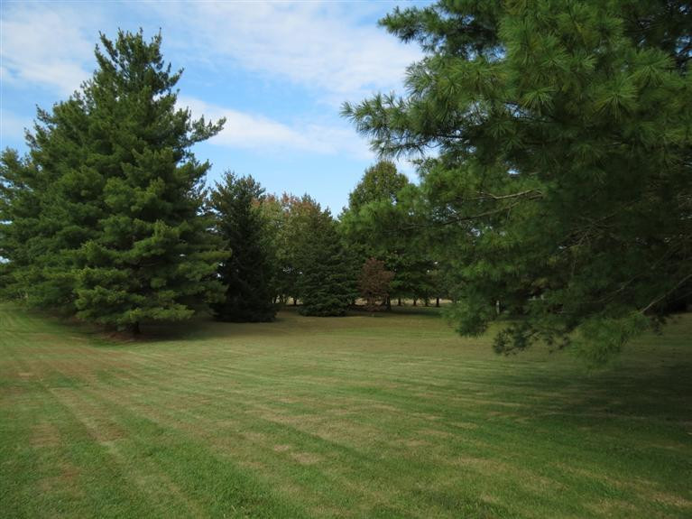 1458 Philpot Road London, KY 40744 - Photo 24 of 31 Photo 24