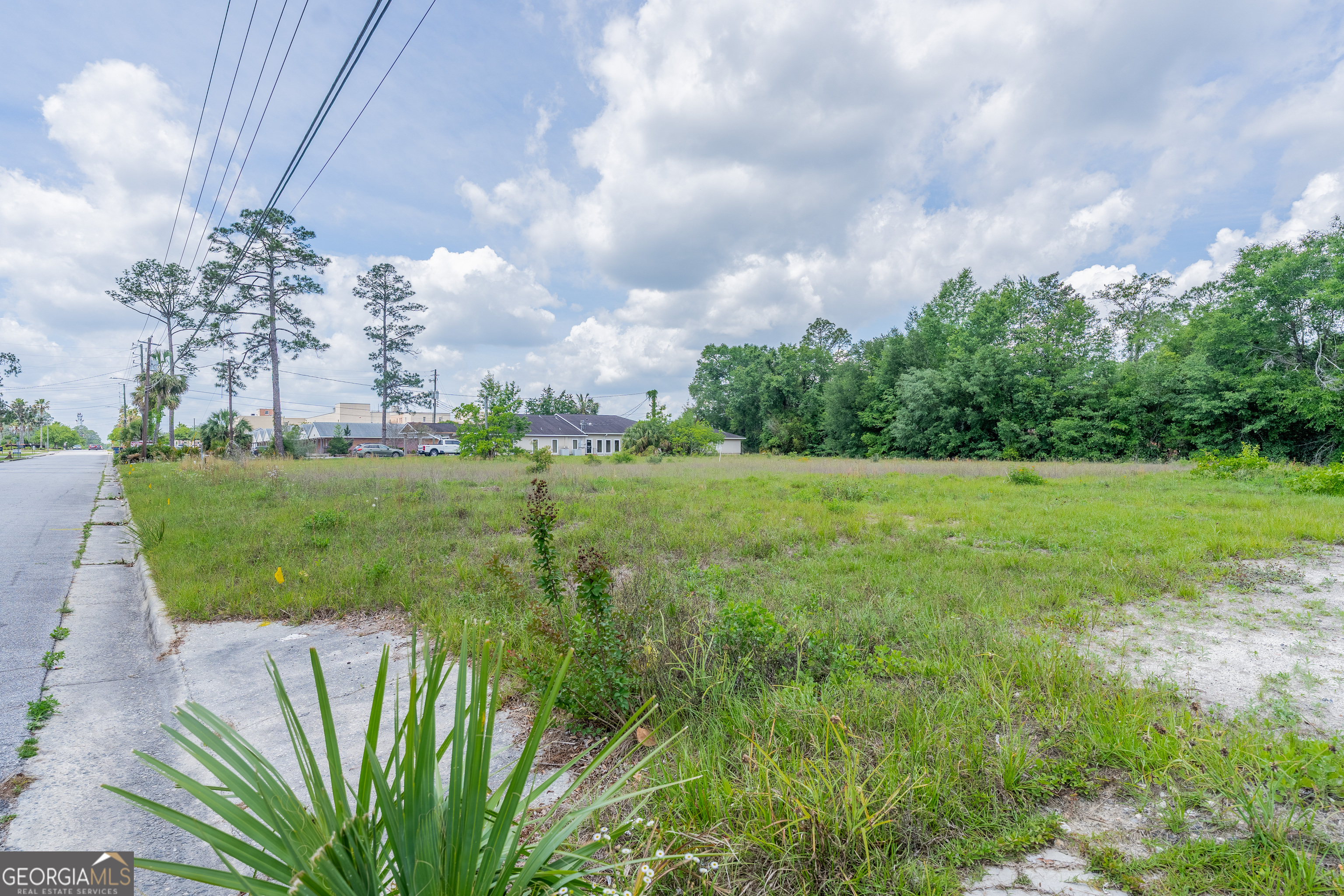 2011 Alice Street Waycross, GA 31501 - Photo 12 of 12 a view of a big yard with potted plants and big trees