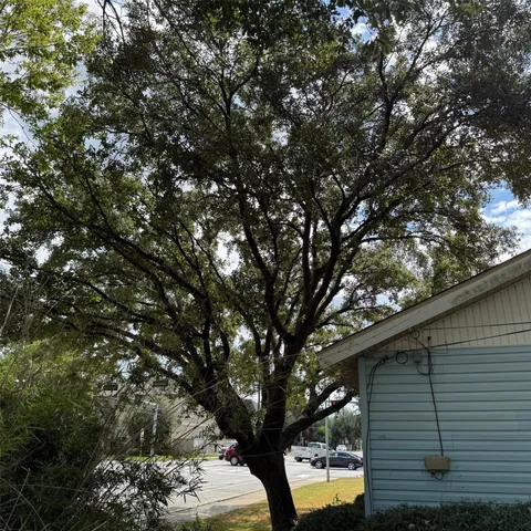 a backyard of a house with large trees