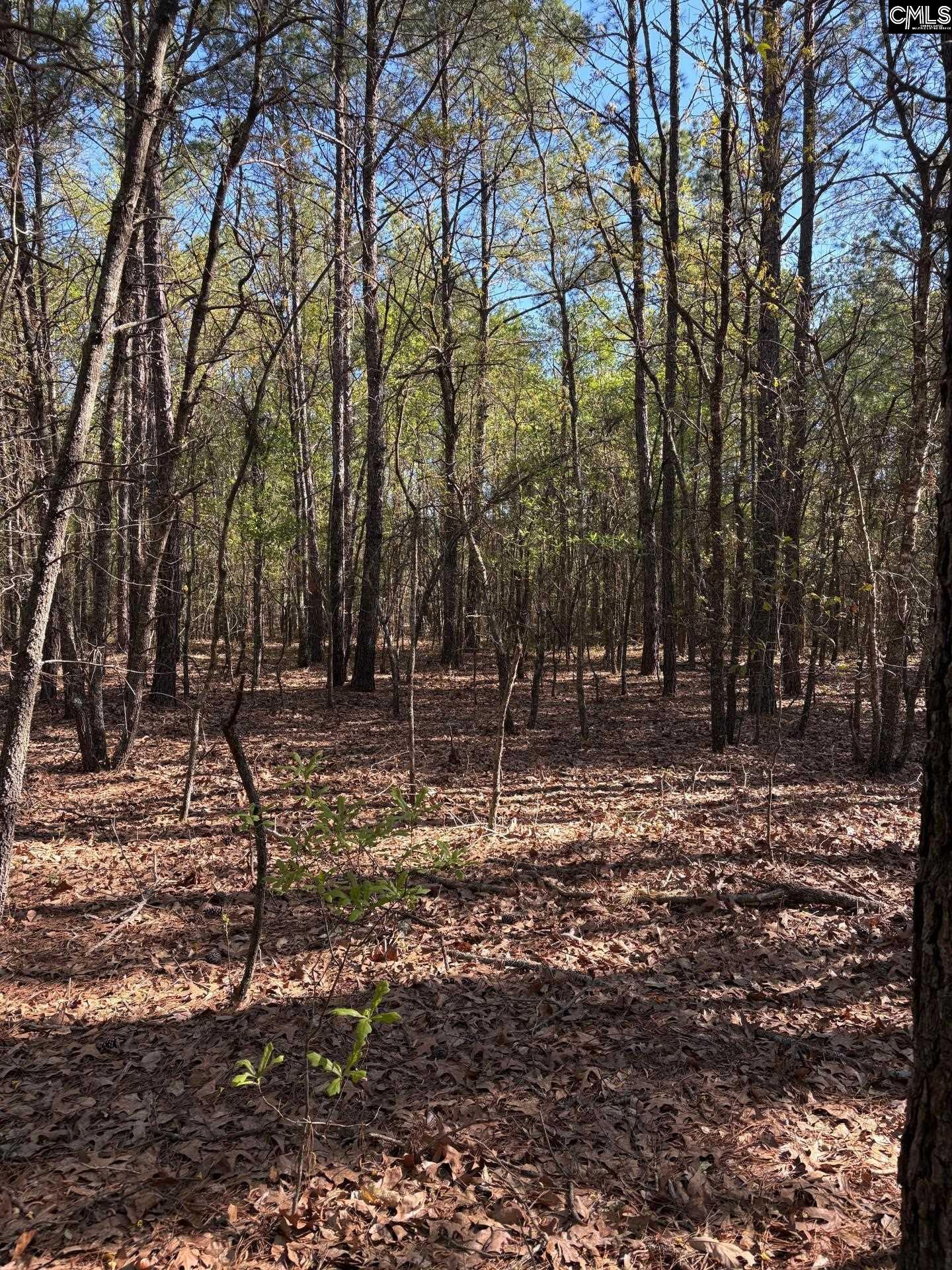 0 East Old Camden Road Hartsville, SC 29550 - Photo 3 of 10