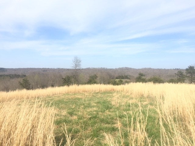 9999 Independence Ridge Road Breeding, KY 42715 - Photo 15 of 16 Gallery Image 15