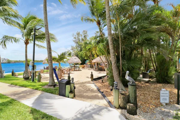 a view of a park with palm trees
