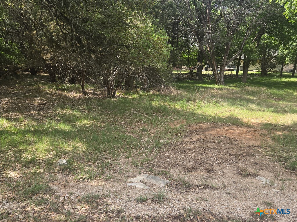 6 Hackberry Court Belton, TX 76513 - Photo 2 of 3 a view of a yard with a tree