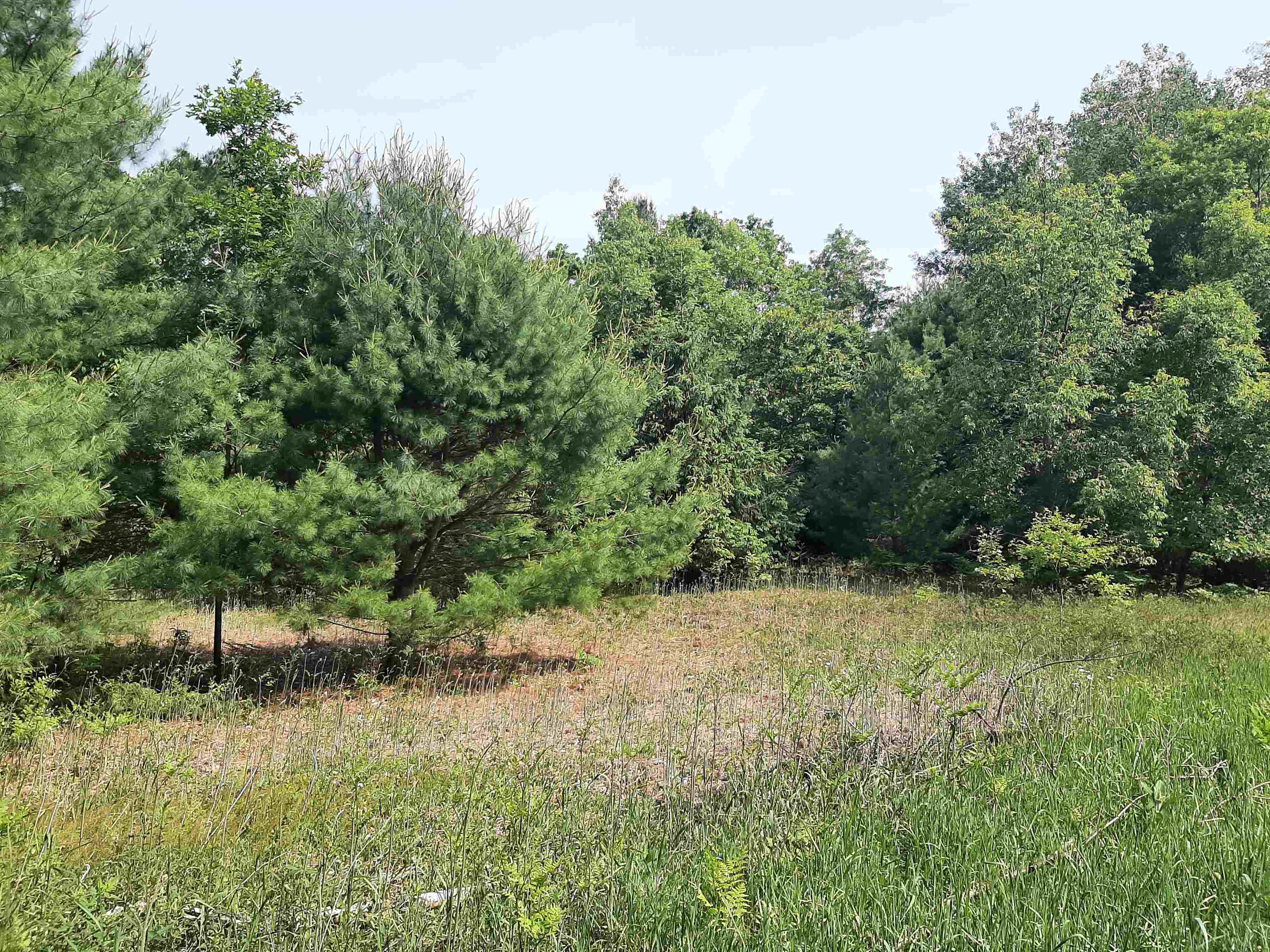 125 West Clarence Road Harrison, MI 48625 - Photo 16 of 44 Gallery Image 16