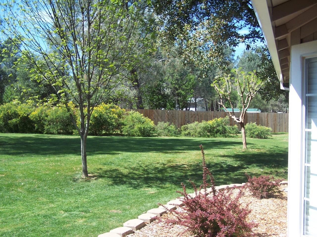 15872 Cloverdale Road Anderson, CA 96007 - Photo 13 of 24 Side Yard Landscaping