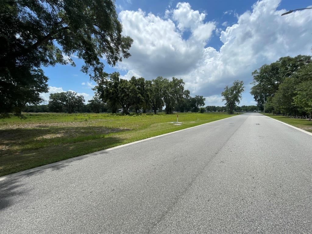 1020 Duck Box Road Umatilla, FL 32784 - Photo 3 of 13