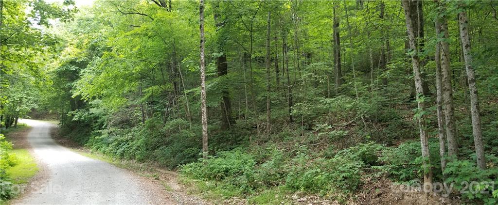 341 Melrose Mountain Road Tryon, NC 28782 - Photo 3 of 36 a view of a forest with a street